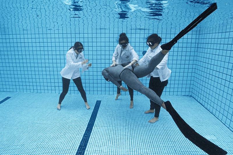 自辦工作坊-自由潛水員必修的物理治療課